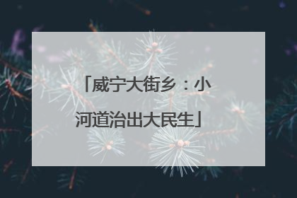 威宁大街乡：小河道治出大民生
