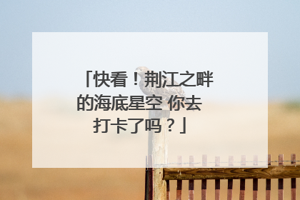 快看！荆江之畔的海底星空 你去打卡了吗？