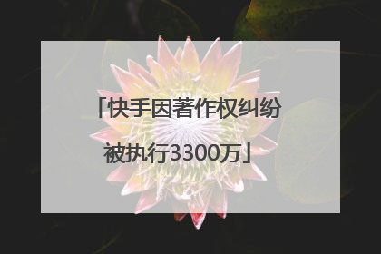 快手因著作权纠纷被执行3300万