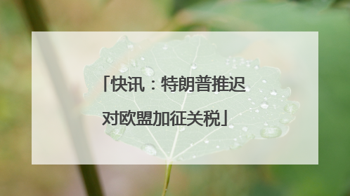 快讯：特朗普推迟对欧盟加征关税