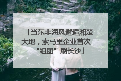 当东非海风邂逅湘楚大地，索马里企业首次“组团”刷长沙
