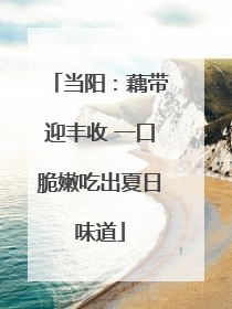 当阳：藕带迎丰收 一口脆嫩吃出夏日味道