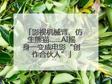 影视机械臂、仿生熊猫……AI摇身一变成电影“创作合伙人”