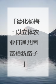 德化杨梅：以立体农业打通共同富裕新路子