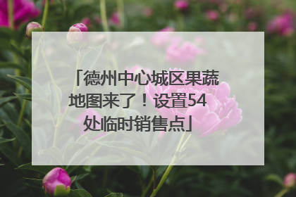德州中心城区果蔬地图来了！设置54处临时销售点