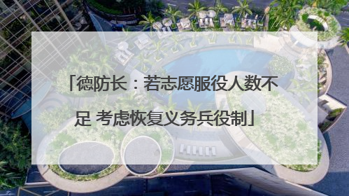 德防长：若志愿服役人数不足 考虑恢复义务兵役制