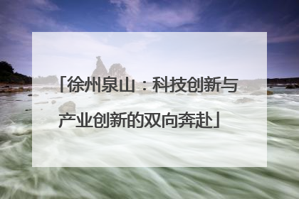 徐州泉山：科技创新与产业创新的双向奔赴