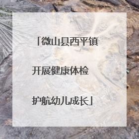 微山县西平镇开展健康体检 护航幼儿成长