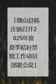 微山县韩庄镇召开2025年度夏季秸秆禁烧工作动员部署会议