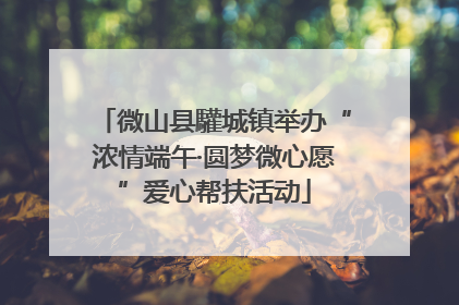 微山县驩城镇举办“浓情端午·圆梦微心愿”爱心帮扶活动