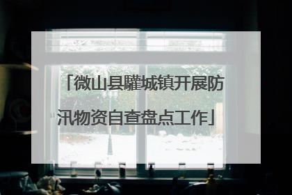 微山县驩城镇开展防汛物资自查盘点工作