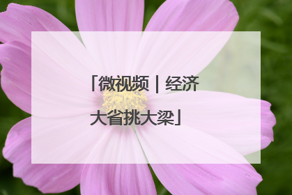 微视频｜经济大省挑大梁