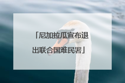 尼加拉瓜宣布退出联合国难民署