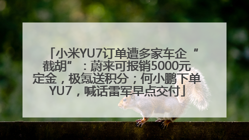 小米YU7订单遭多家车企“截胡”：蔚来可报销5000元定金，极氪送积分；何小鹏下单YU7，喊话雷军早点交付