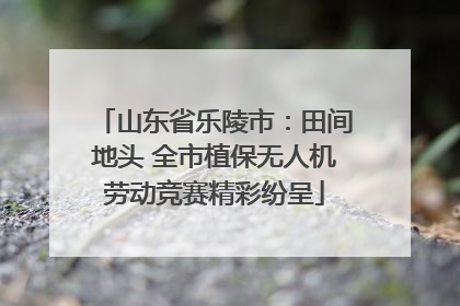 山东省乐陵市：田间地头 全市植保无人机劳动竞赛精彩纷呈