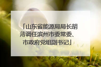 山东省能源局局长胡薄调任滨州市委常委、市政府党组副书记