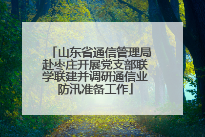 山东省通信管理局赴枣庄开展党支部联学联建并调研通信业防汛准备工作