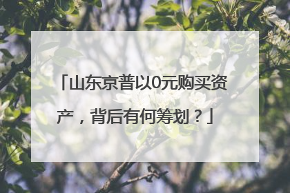 山东京普以0元购买资产，背后有何筹划？