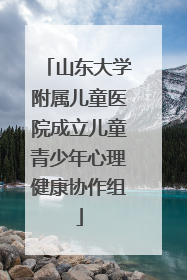 山东大学附属儿童医院成立儿童青少年心理健康协作组