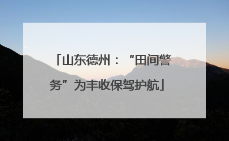 山东德州：“田间警务”为丰收保驾护航