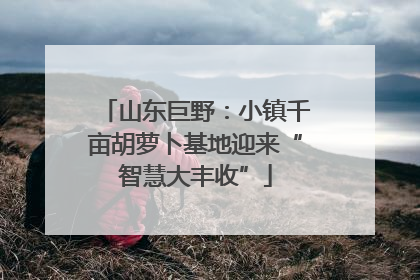 山东巨野：小镇千亩胡萝卜基地迎来“智慧大丰收”