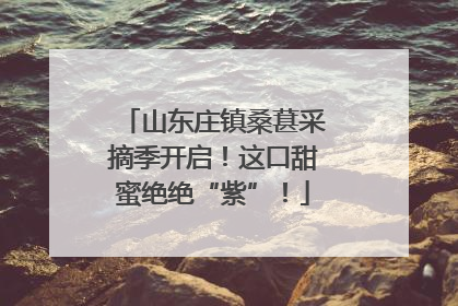 山东庄镇桑葚采摘季开启！这口甜蜜绝绝“紫”！