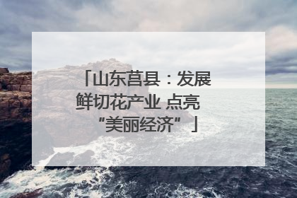 山东莒县：发展鲜切花产业 点亮“美丽经济”