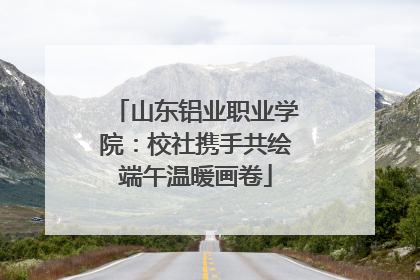 山东铝业职业学院：校社携手共绘端午温暖画卷