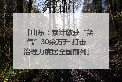 山东：累计缴获“笑气”30余万升 打击治理力度居全国前列