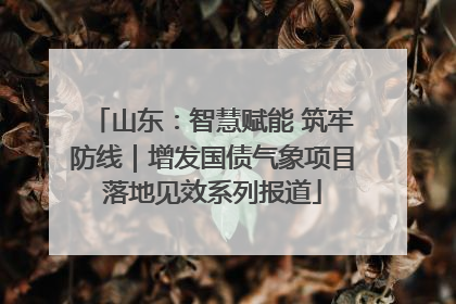 山东：智慧赋能 筑牢防线｜增发国债气象项目落地见效系列报道