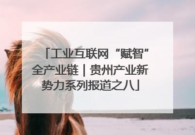 工业互联网“赋智”全产业链｜贵州产业新势力系列报道之八