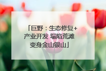 巨野：生态修复+产业开发 塌陷荒滩变身金山银山