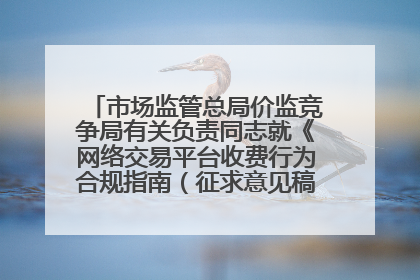 市场监管总局价监竞争局有关负责同志就《网络交易平台收费行为合规指南（征求意见稿）》答记者问