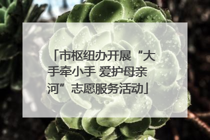 市枢纽办开展“大手牵小手 爱护母亲河”志愿服务活动