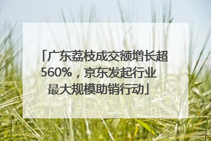 广东荔枝成交额增长超560%，京东发起行业最大规模助销行动