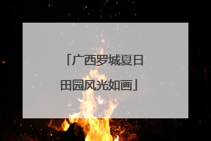 广西罗城夏日田园风光如画