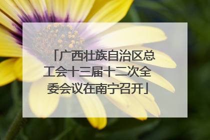 广西壮族自治区总工会十三届十二次全委会议在南宁召开