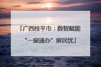 广西桂平市：数智赋能“一窗通办”解民忧