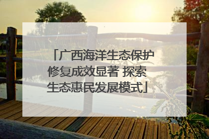 广西海洋生态保护修复成效显著 探索生态惠民发展模式
