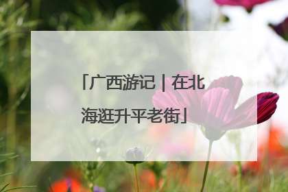 广西游记｜在北海逛升平老街