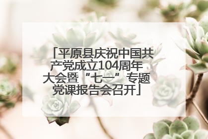 平原县庆祝中国共产党成立104周年大会暨“七一”专题党课报告会召开