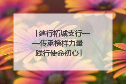 建行柘城支行——传承榜样力量 践行使命初心