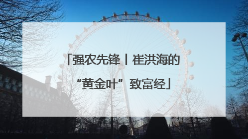 强农先锋丨崔洪海的“黄金叶”致富经