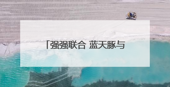 强强联合 蓝天豚与安徽头部装企荣锋装饰集团达成战略合作