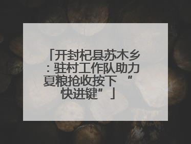 开封杞县苏木乡：驻村工作队助力夏粮抢收按下 “快进键”