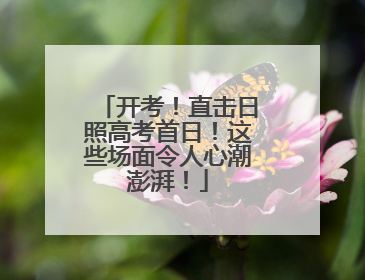 开考！直击日照高考首日！这些场面令人心潮澎湃！
