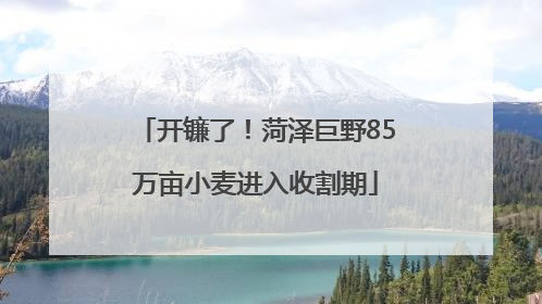 开镰了！菏泽巨野85万亩小麦进入收割期