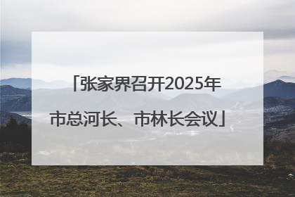 张家界召开2025年市总河长、市林长会议