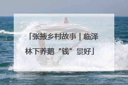 张掖乡村故事｜临泽林下养鹅“钱”景好
