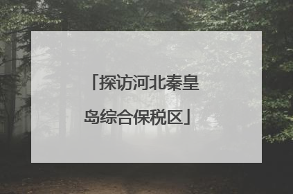 探访河北秦皇岛综合保税区